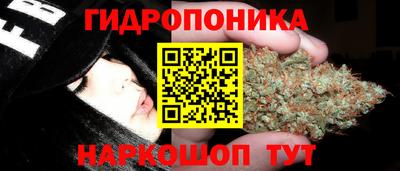 2c-b Тверь