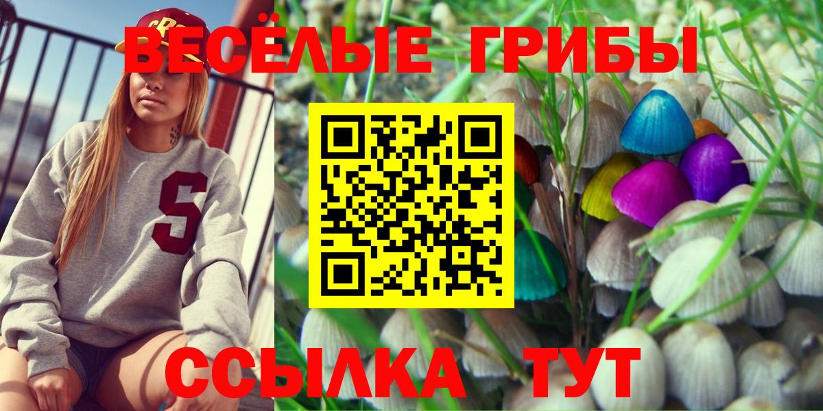 Псилоцибиновые грибы Cubensis Бахчисарай